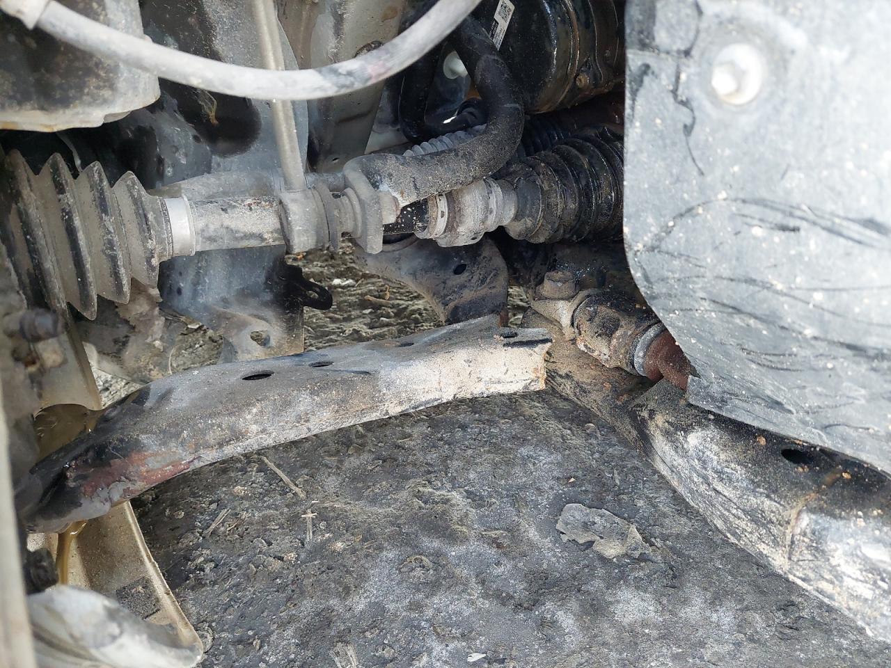 JTNBF4HK5K3020486 - 2019 Toyota CAMRY - #46206725