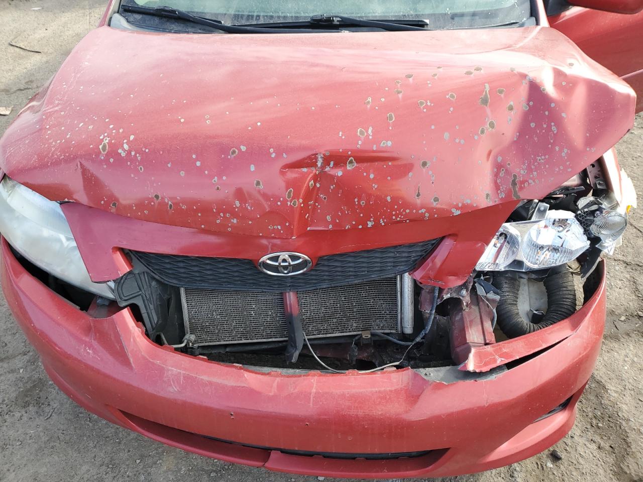 2009 Toyota Corolla - Image 12