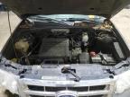2010 Ford Escape Xlt за продажба в Candia, NH - Front End