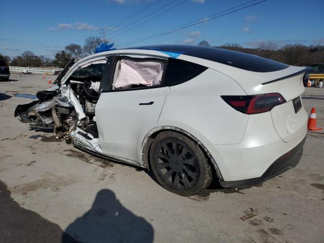  TESLA MODEL Y 2023 Белый