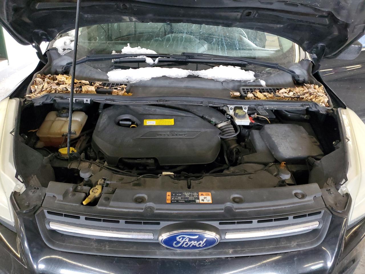 2015 Ford Escape - Image 13
