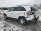 2011 Kia Sorento Base for Sale in Barberton, OH - Rear End