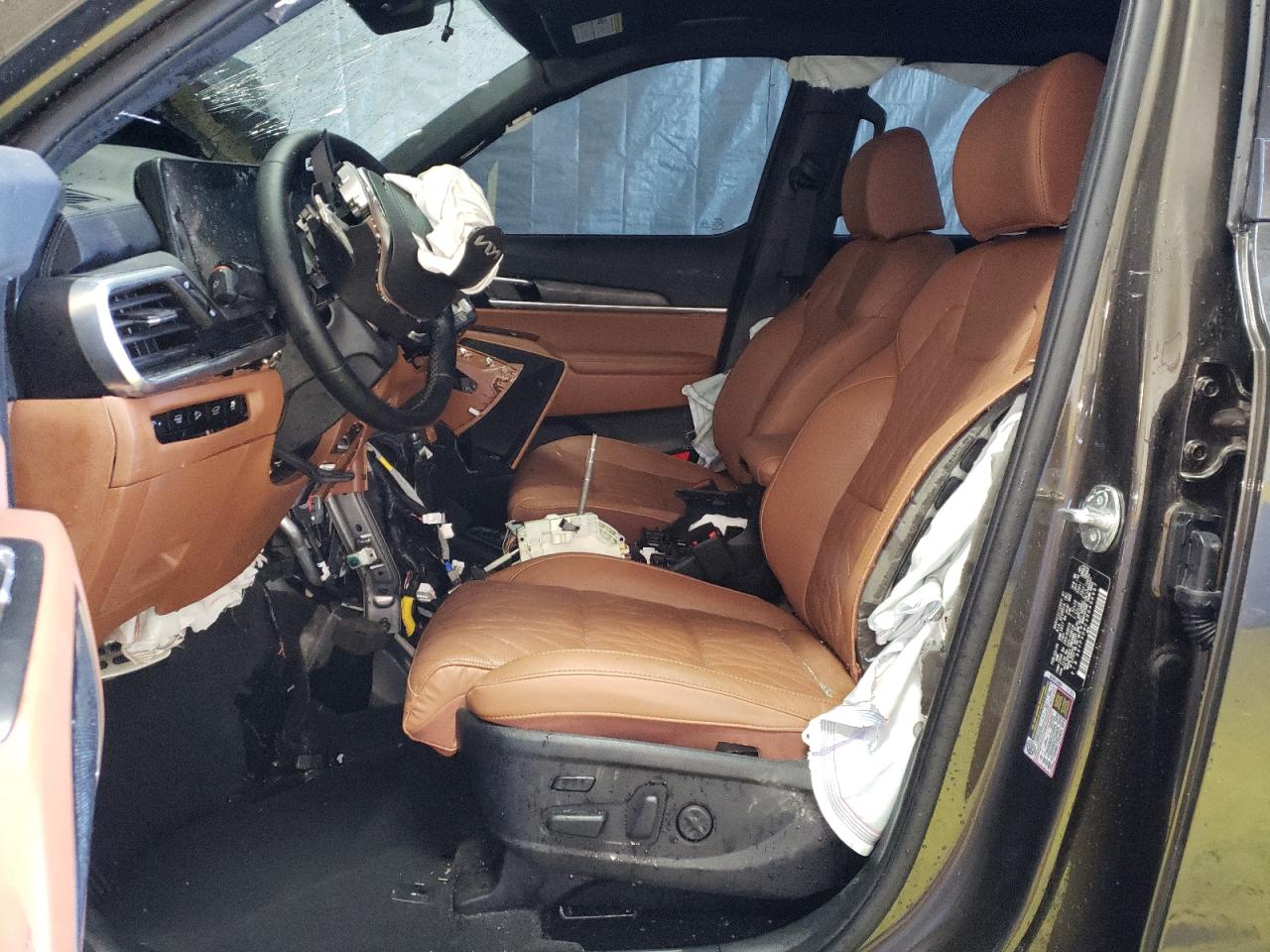 2024 Kia Telluride Sx VIN: 5XYP5DGC3RG498967 Lot: 45762725