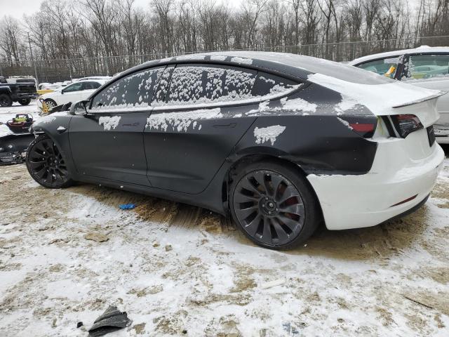  TESLA MODEL 3 2023 Two tone
