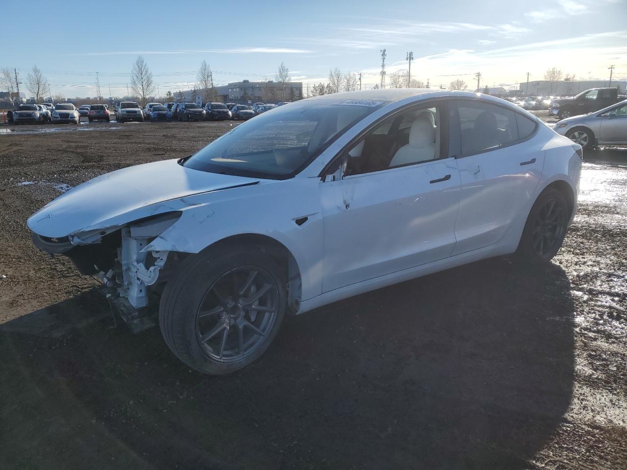 2020 Tesla Model 3 for Sale in Rocky View County, AB - Front End