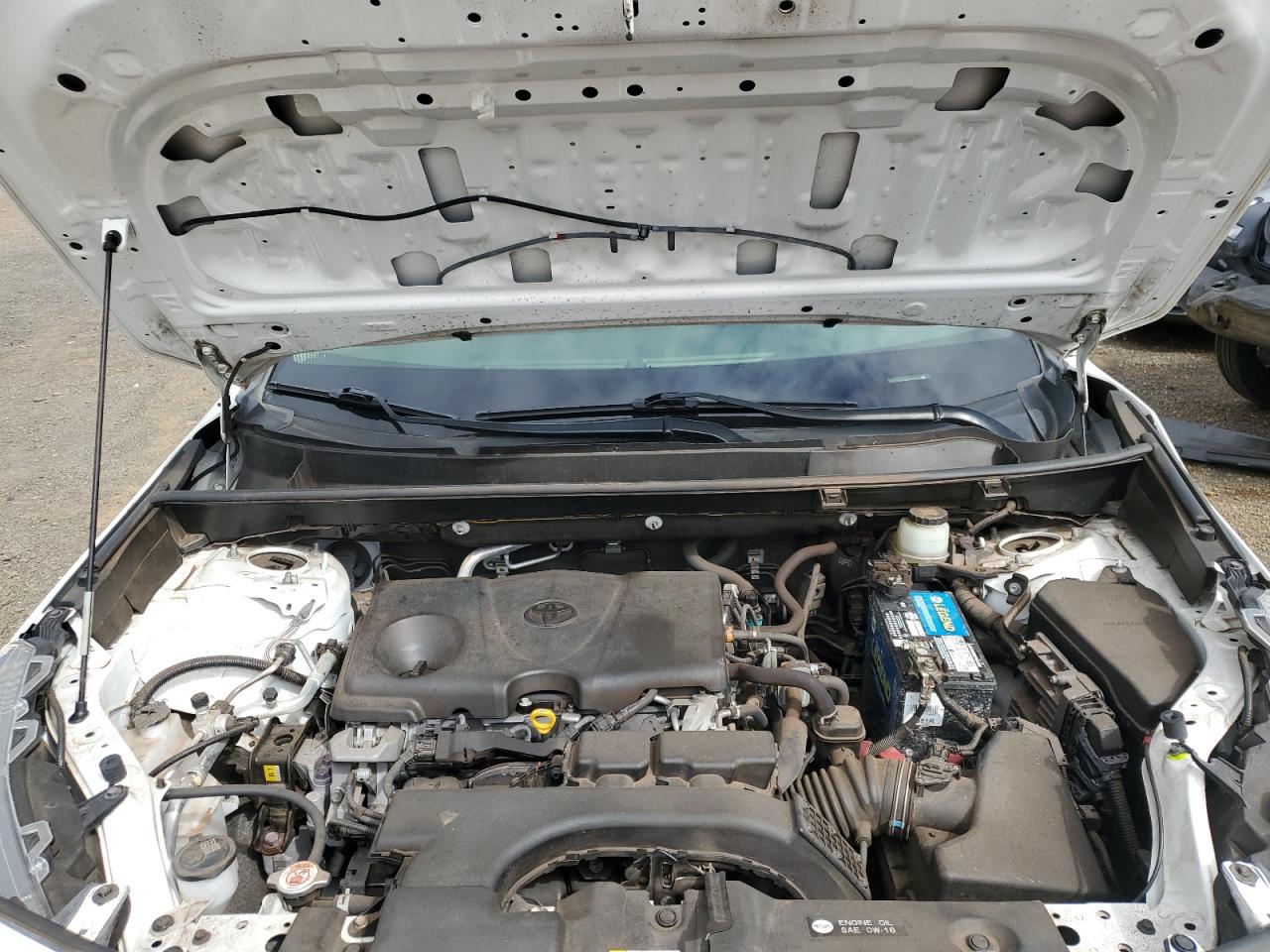 JTMF1RFV6KD044983 TOYOTA RAV4 2019