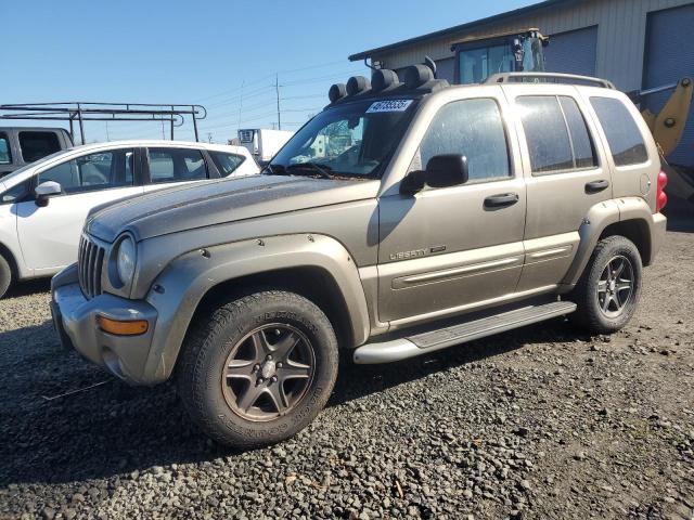 2002 Jeep Liberty Renegade