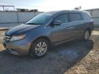 2014 Honda Odyssey Ex for Sale in Kapolei, HI - Front End