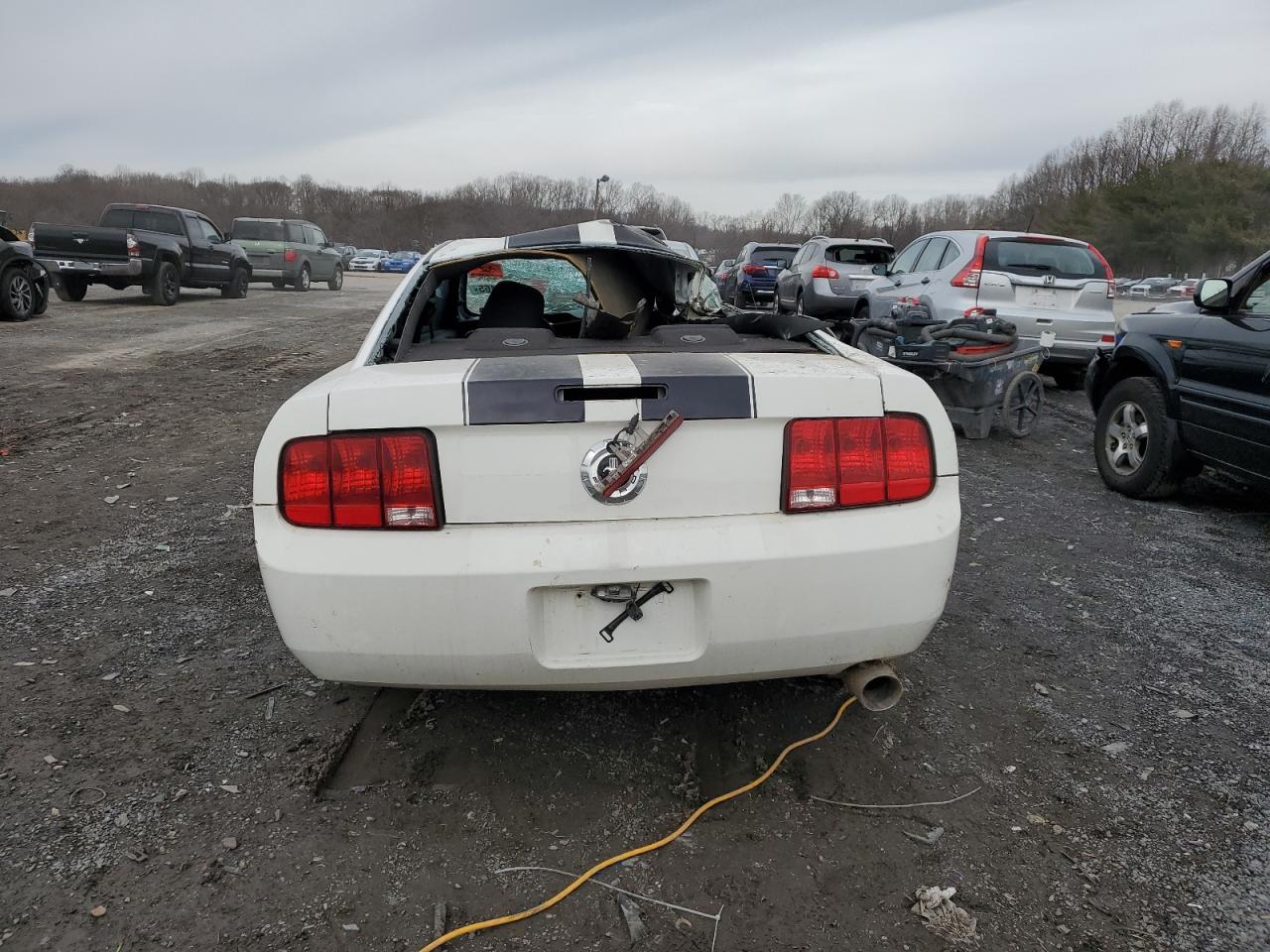 2007 Ford Mustang VIN: 1ZVFT80N275346525 Lot: 44055165