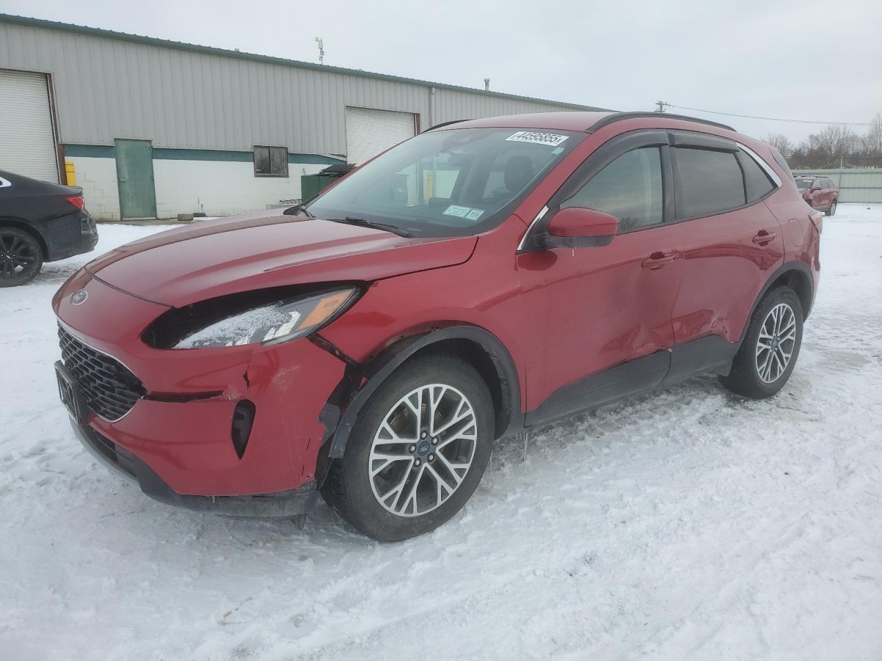 Leroy, NY에서 판매 중인 2020 Ford Escape Sel - Front End