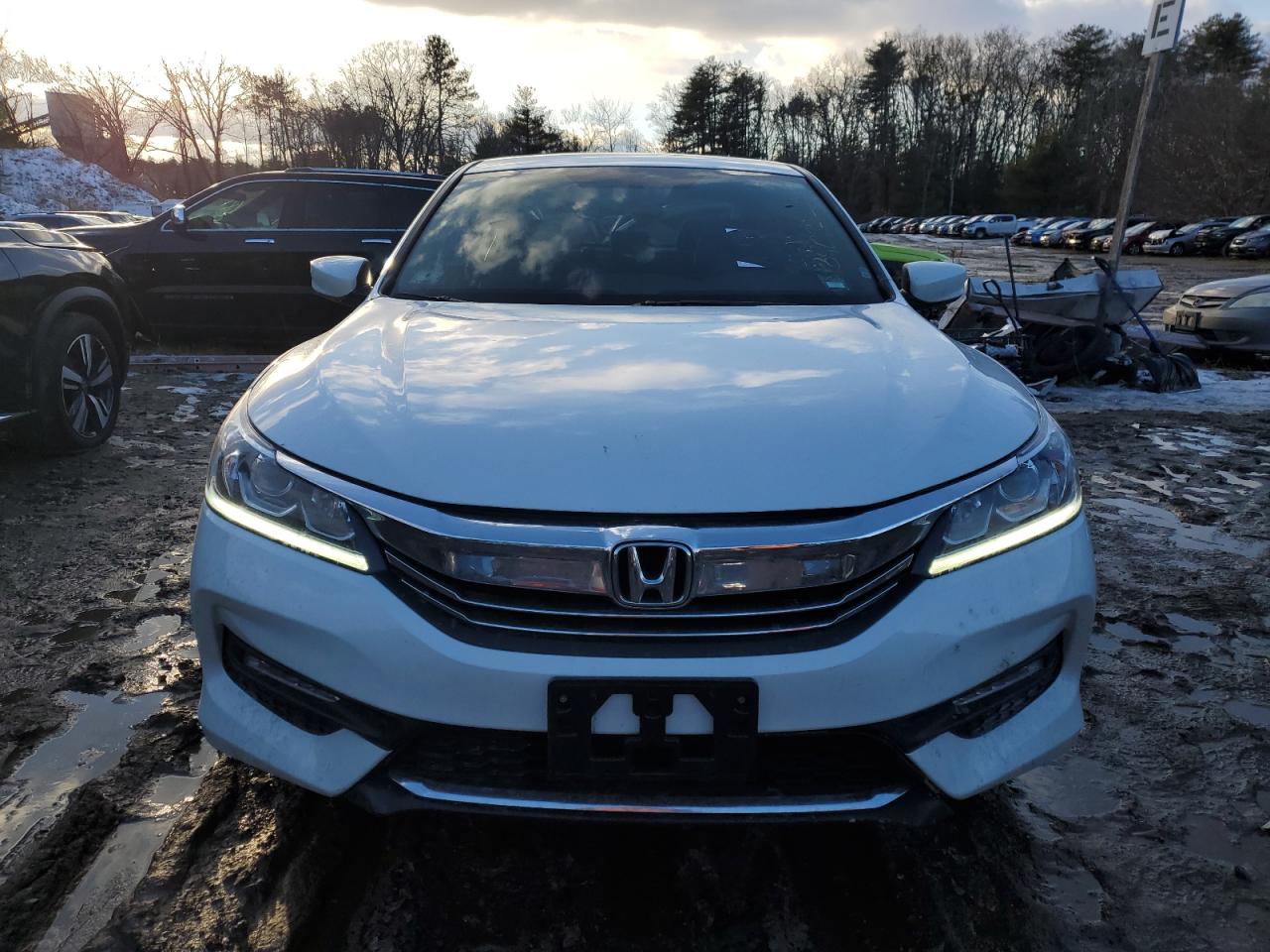 1HGCR2F50HA142504 HONDA ACCORD 2017