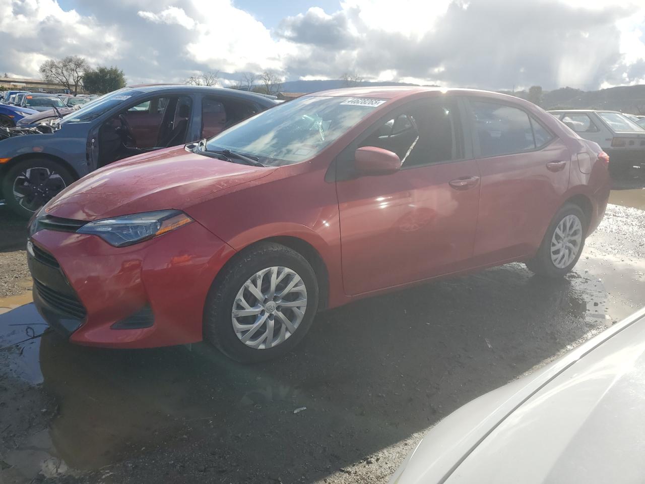 2019 Toyota Corolla - Image 1