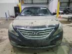 Lawrenceburg, KY에서 판매 중인 2013 Hyundai Sonata Se - Water/Flood