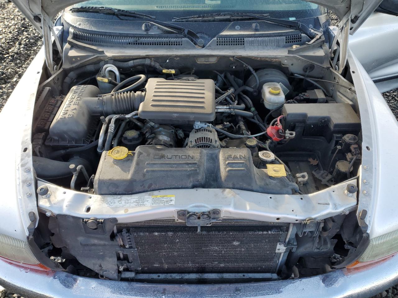 2003 Dodge Dakota - Image 11