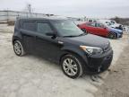 2016 Kia Soul + en Venta en Walton, KY - Rear End