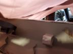 2017 Ram Promaster 1500 1500 Standard на продаже в Greenwood, NE - All Over