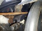2010 Honda Accord Ex იყიდება Glassboro-ში, NJ - All Over