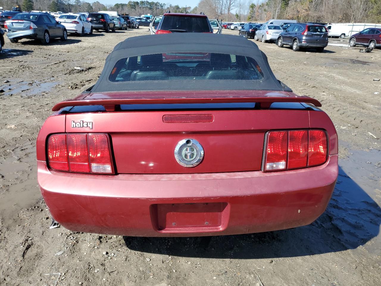 2005 Ford Mustang - Image 6