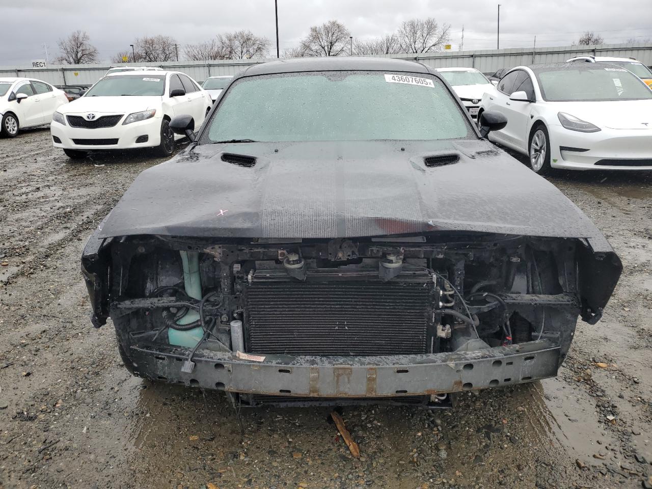 2009 Dodge Challenger - Image 5