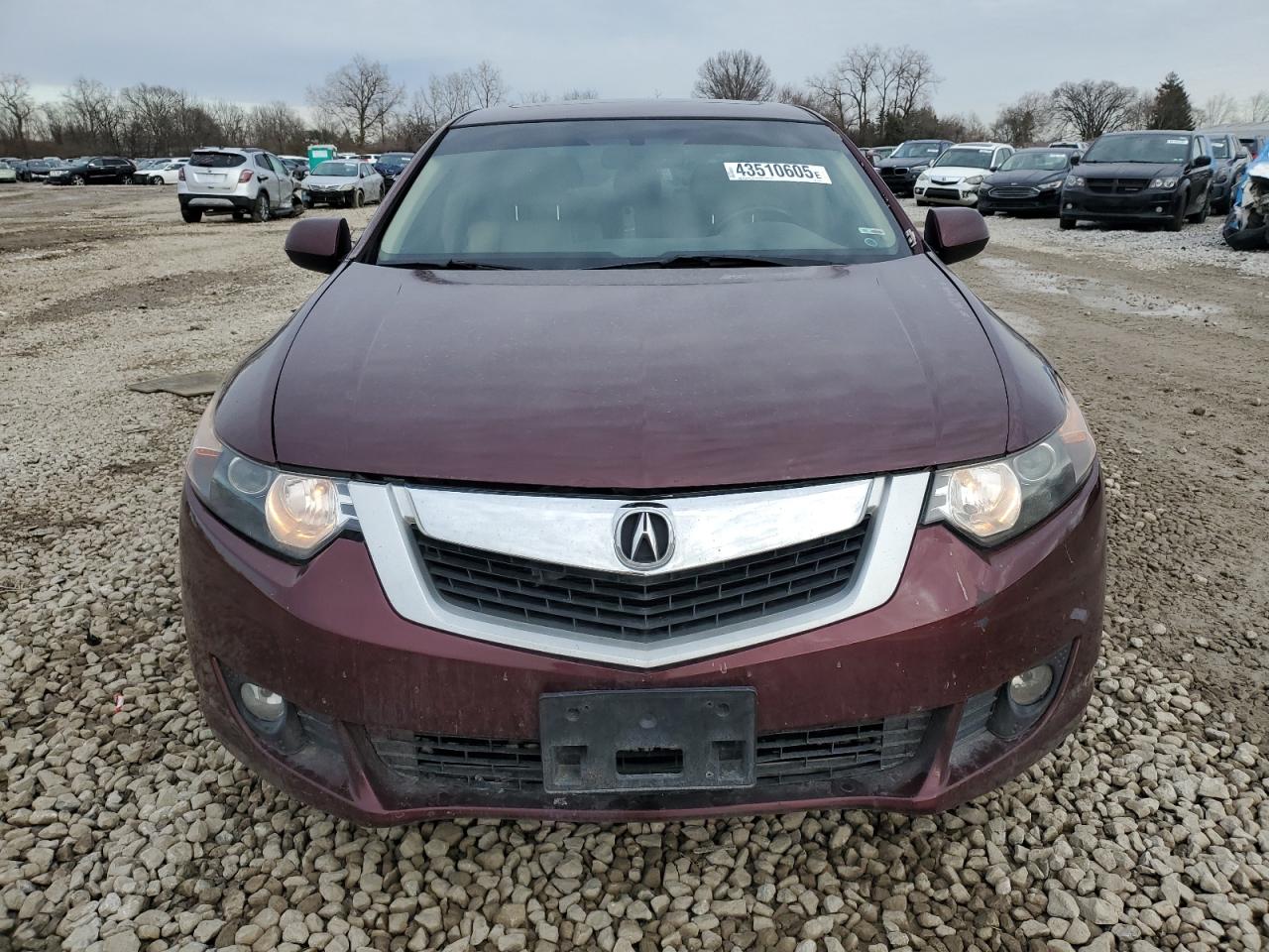 2010 Acura TSX - Image 5
