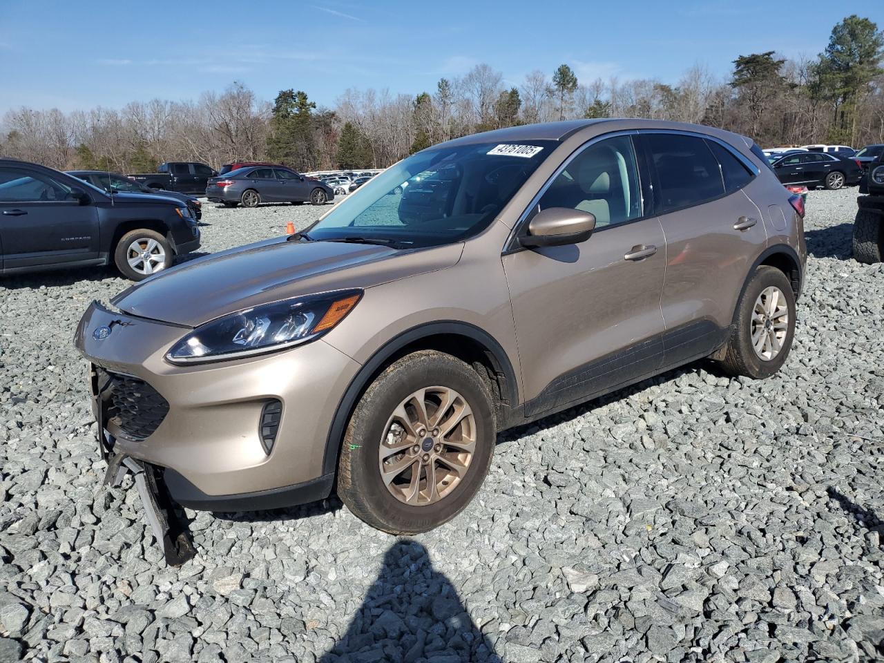 2021 Ford Escape - Image 1