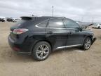 2013 Lexus Rx 350 en Venta en Amarillo, TX - Front End