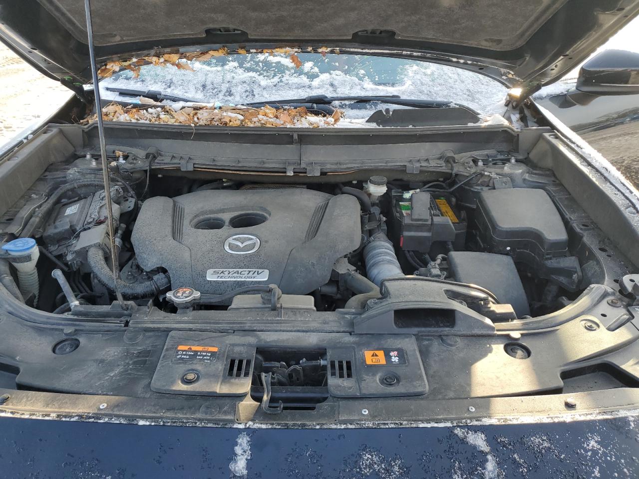 2017 Mazda CX-9 - Image 14