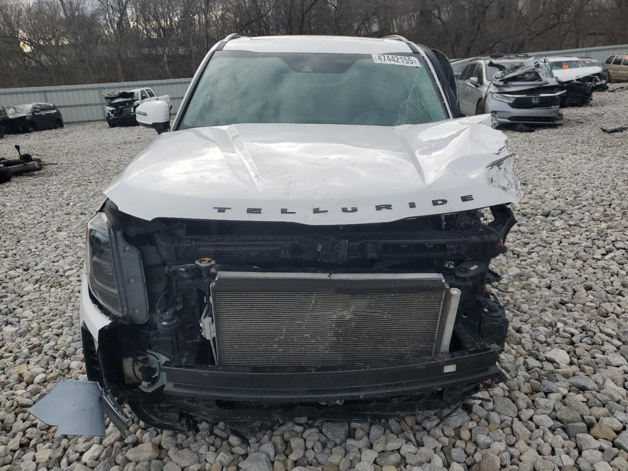 2021 Kia Telluride - Image 5