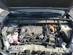 Bridgeton, MO에서 판매 중인 2023 Toyota Highlander Hybrid Limited - Rear End