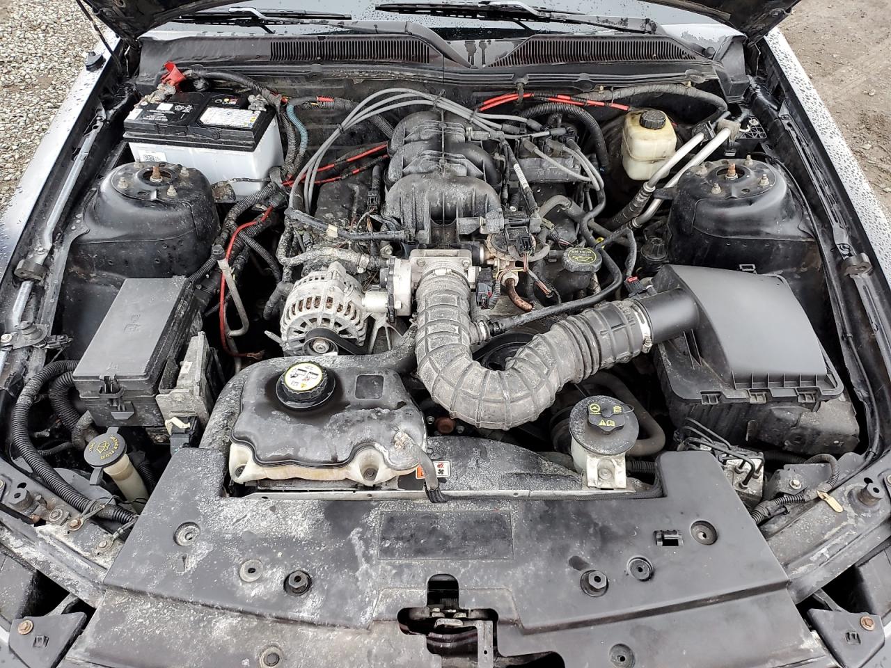 2008 Ford Mustang - Image 11