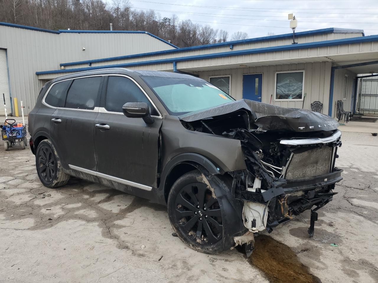 2020 Kia Telluride - Image 4