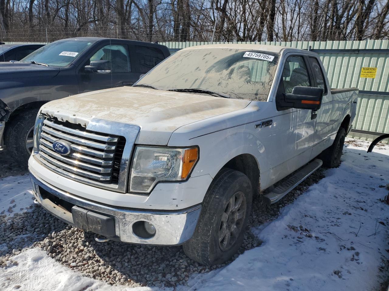 2010 Ford F-150 - Image 1