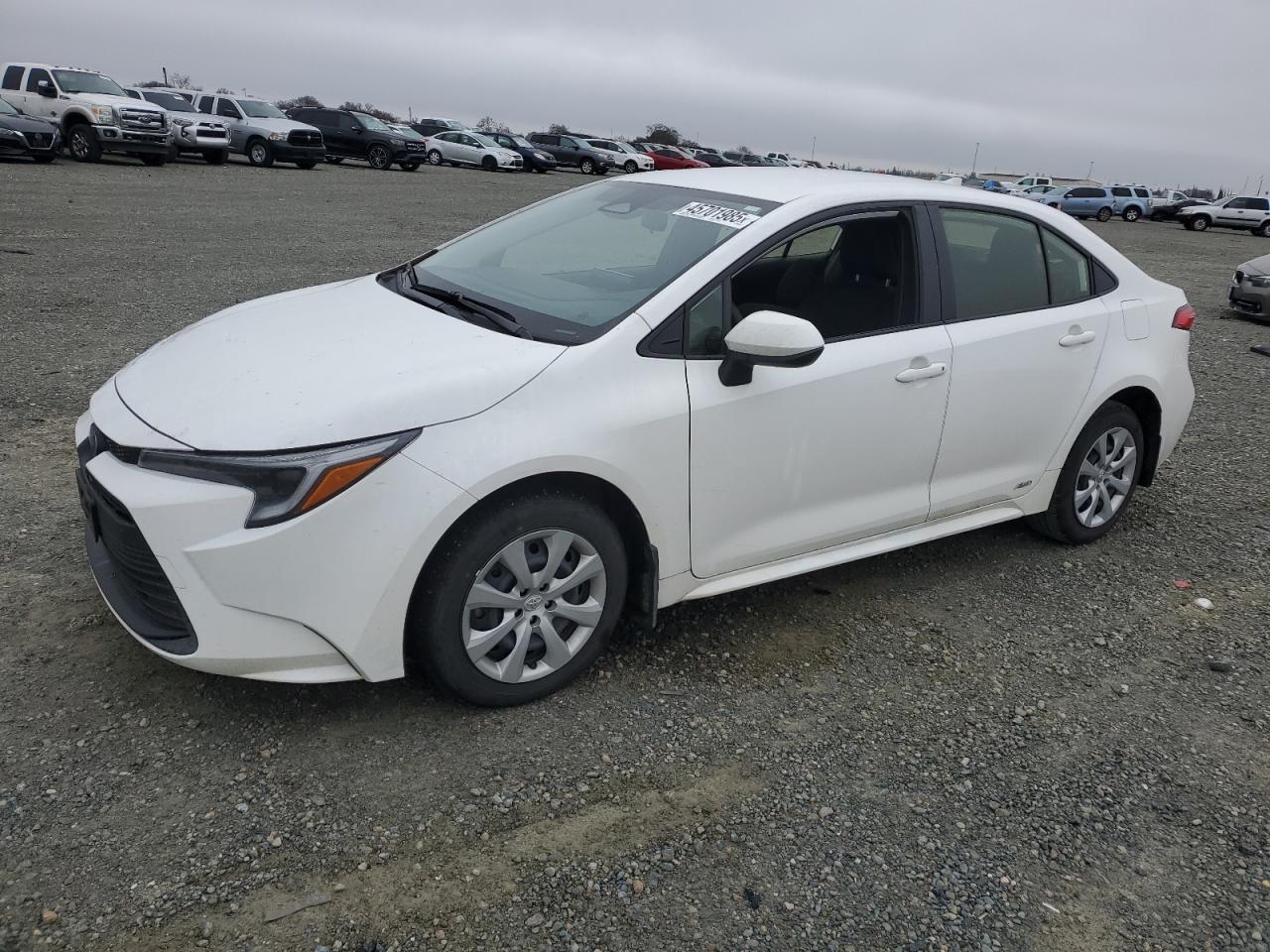 2024 Toyota Corolla - Image 1