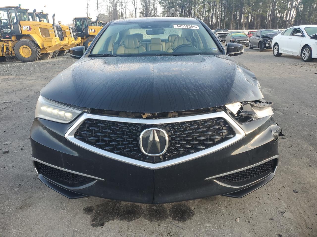 2019 Acura TLX - Image 5