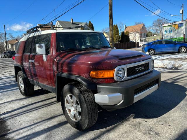 2010 Toyota Fj Cruiser 