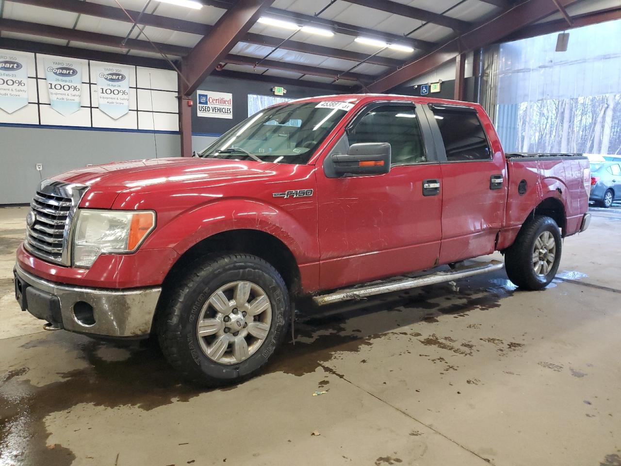 2010 Ford F-150 - Image 1