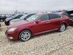 2011 Lexus Es 350 للبيع في New Braunfels، TX - Normal Wear