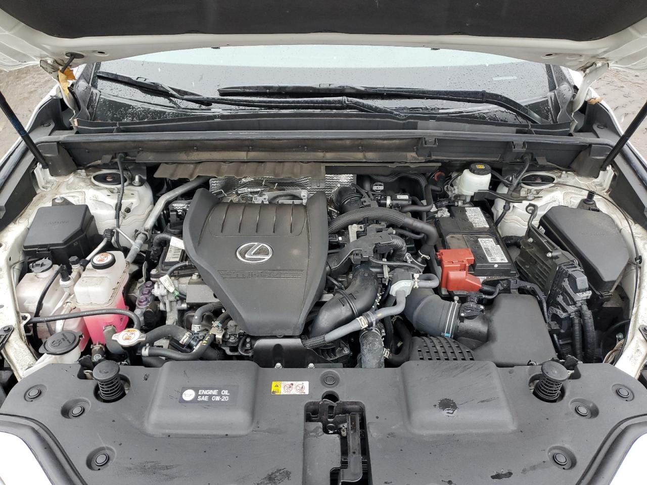 2022 Lexus NX - Image 12