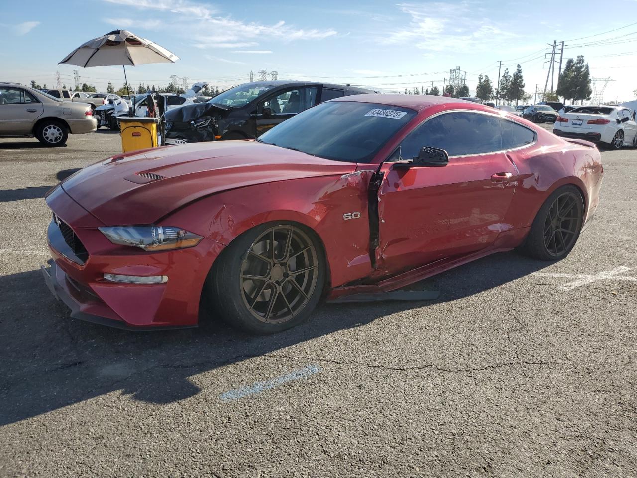 1FA6P8CF9M5149025 FORD MUSTANG 2021
