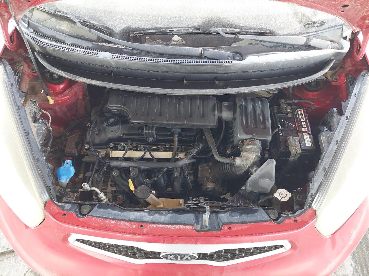 KNABE5123CT037356 - 2012 Kia Picanto - #43485315