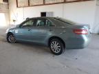 2011 Toyota Camry Base продається в Lexington, KY - Front End