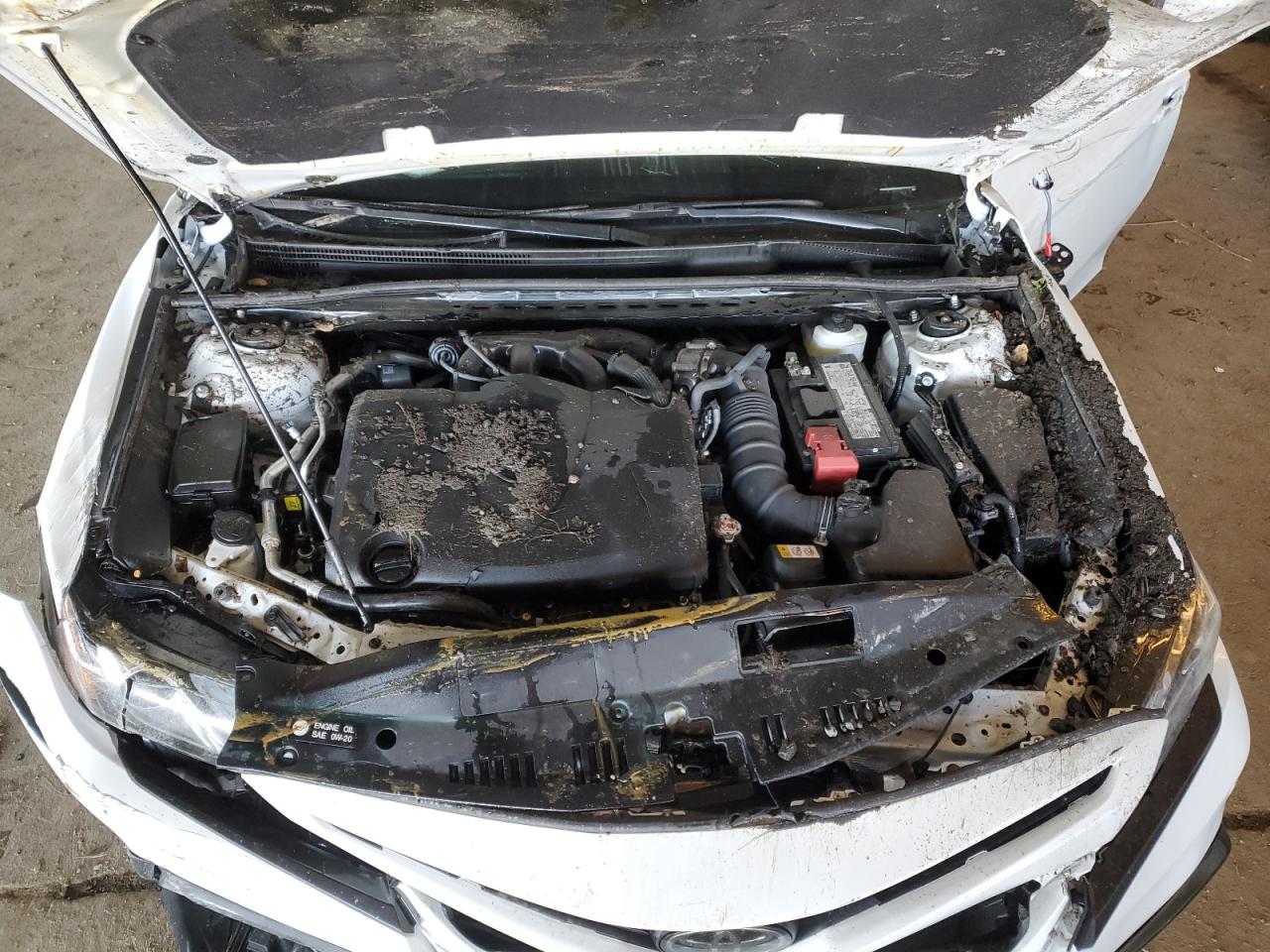 2024 Toyota Camry - Image 11