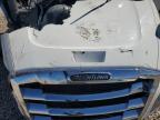 Tucson, AZ에서 판매 중인 2023 Freightliner Cascadia 126  - All Over