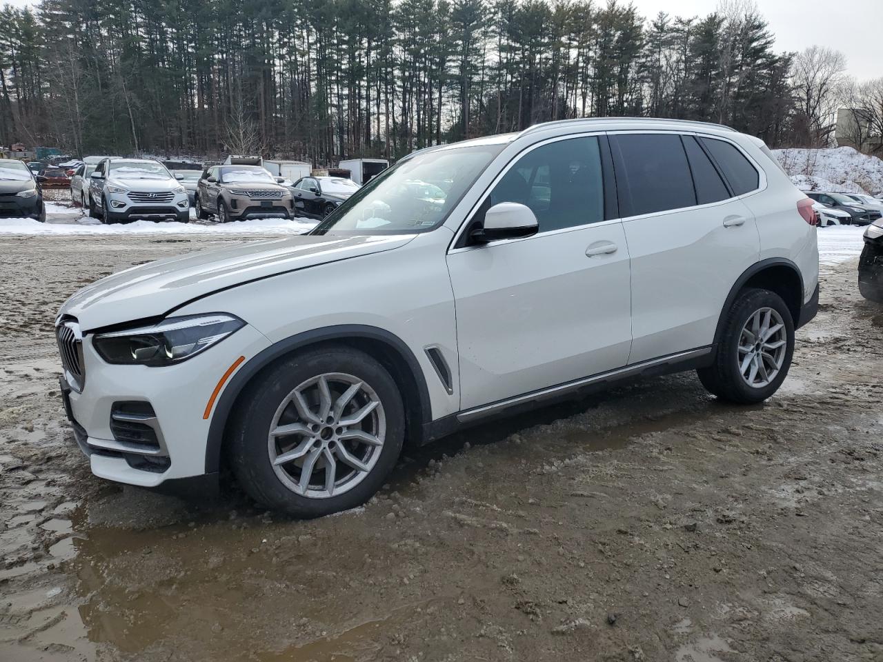 2023 BMW X5 - Image 1