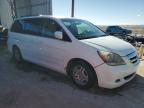 2005 Honda Odyssey Ex იყიდება Albuquerque-ში, NM - Water/Flood