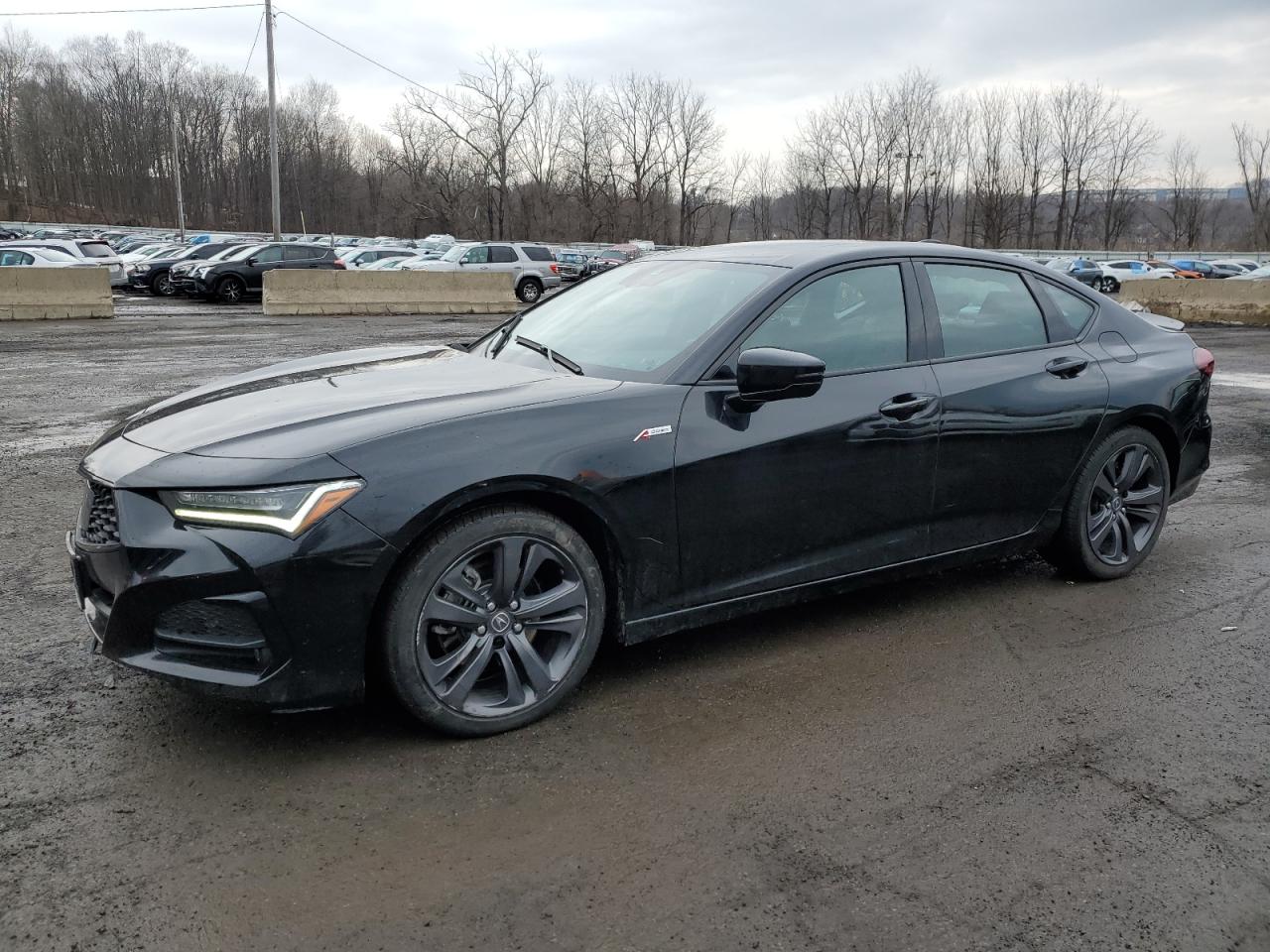 2022 Acura TLX - Image 1