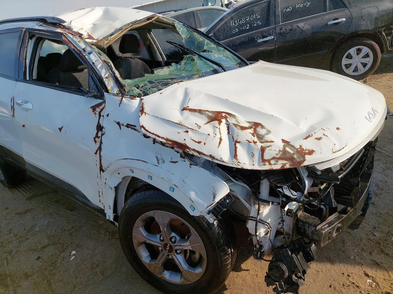 MZBEP8142NN282307 - 2022 Kia SELTOS - #43489305