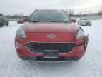 Leroy, NY에서 판매 중인 2020 Ford Escape Sel - Front End