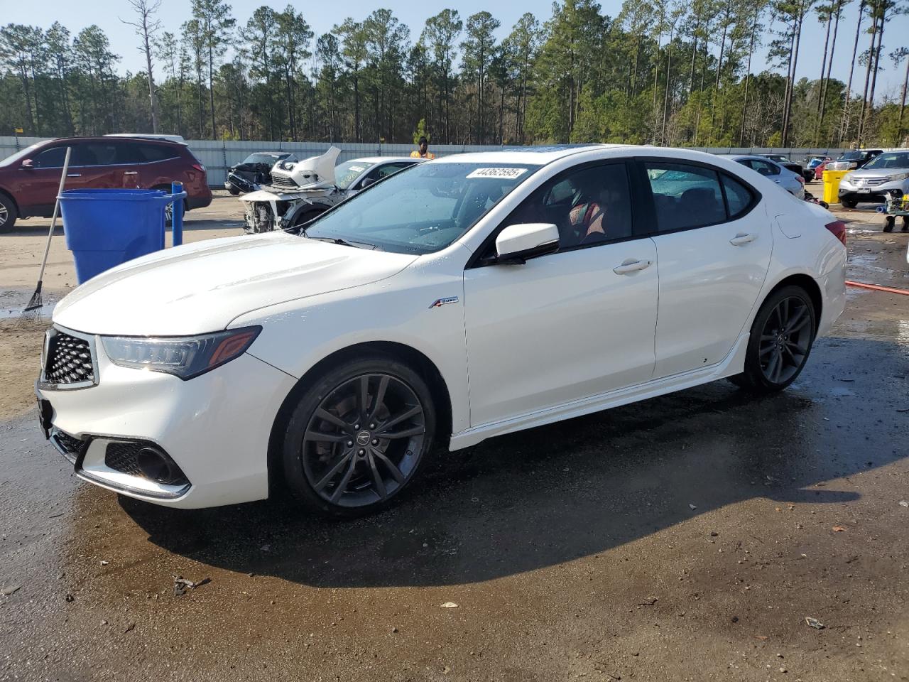 2020 Acura TLX - Image 1