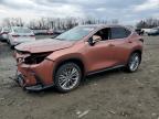2025 Lexus Nx 350 Premium for Sale in Baltimore, MD - Front End